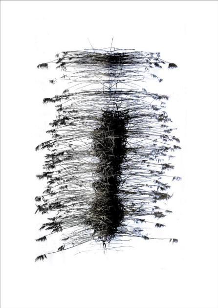 Foto: Nanda Geuzebroek