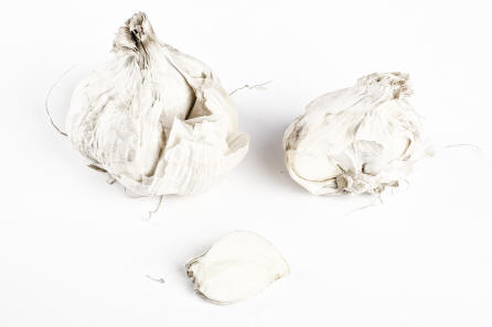 Foto: Patty Verhoeven