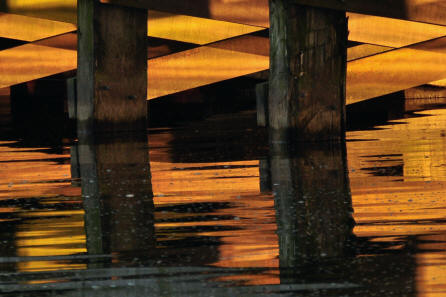 Foto: Pieter Holtland